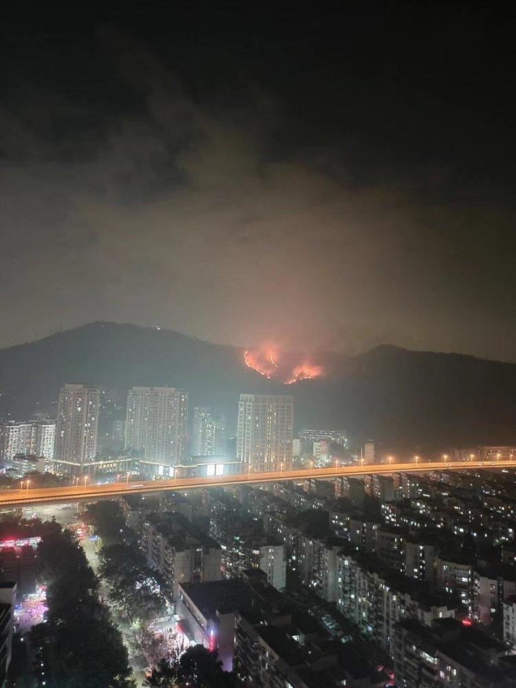 香港突发山火，深圳视角下的火线蔓延与应对