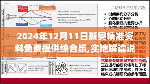 2024新奥资料免费精准,青年人追逐梦想的旅程——{关键词3}