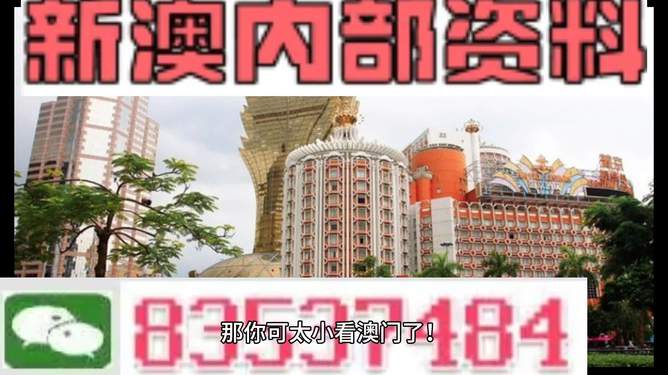 澳门4949精准免费大全青龙网揭示幸运数字的选择技巧,澳门4949精准免费大全青龙网_{关键词3}