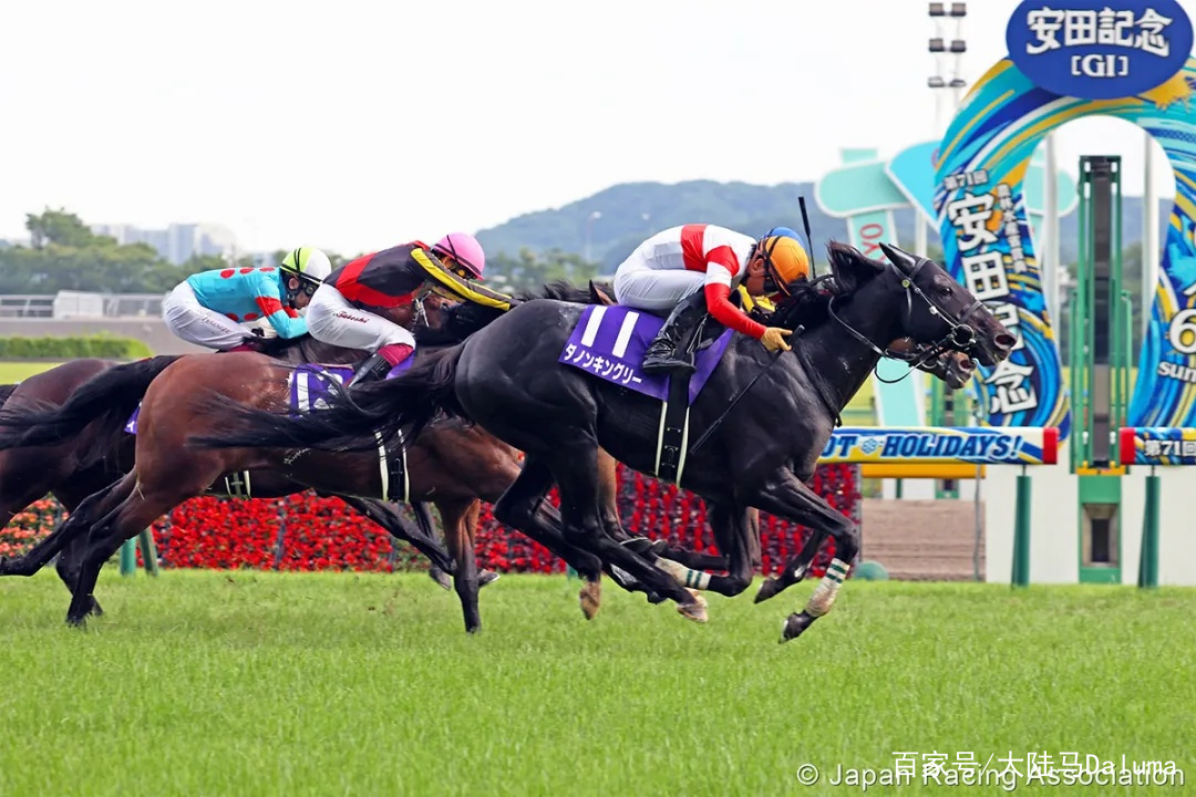 香港特马资料王中王探索被遗忘的小镇，发现独特的魅力,香港特马资料王中王_{关键词3}