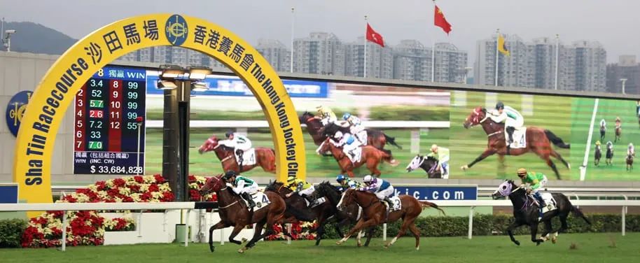 港澳研究院买马开奖新机遇与挑战的前景展望,港澳研究院买马开奖_{关键词3}