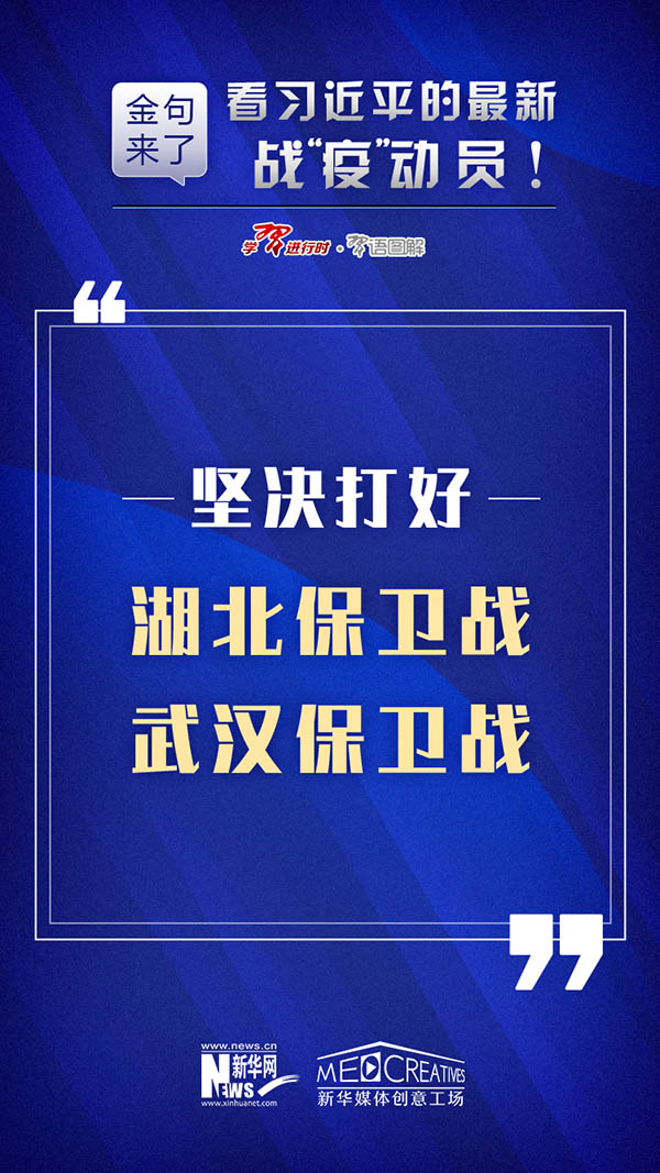 管家婆资料精准一句真言港彩资料专业洞察与预测,管家婆资料精准一句真言港彩资料_FHD版23.237