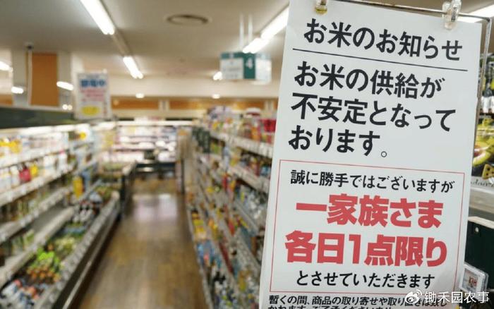 揭秘日本米价暴涨背后的真相，民众为何不再直接购买米饭？深度剖析