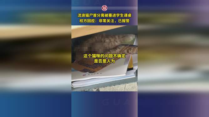 惊悚！猫尸首分离竟被塞入课桌，学生惊恐尖叫，背后真相令人毛骨悚然！