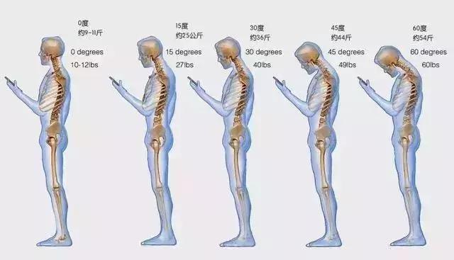 震惊！人类肩部竟暗藏‘座位’？揭秘进化背后的惊人真相！